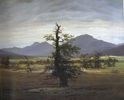 Caspar David Friedrich Landscape with Solitary Tree (mk10) china oil painting reproduction